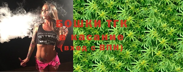 крисы Алексин