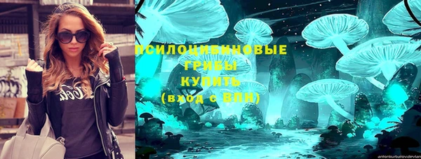 apvp Нязепетровск