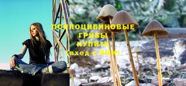 синтетический гашиш Абинск